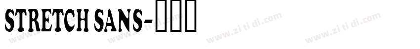 STRETCH SANS字体转换